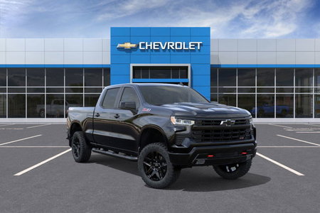 2025 CHEVROLET TRUCK SILVERADO 1500 4RM CAB MLT 157PO