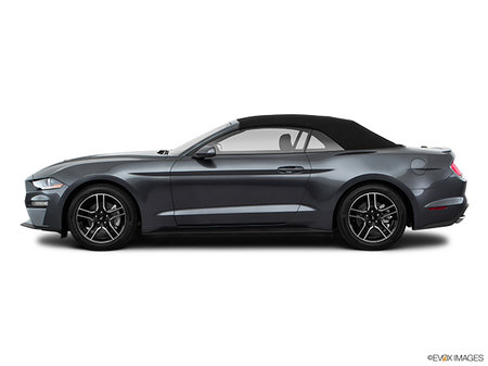 Montmorency Ford The 2019 Mustang Convertible Ecoboost In Brossard