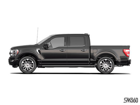 Ford F-150 LIMITED 2022 - photo 1