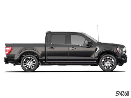 Ford F-150 LIMITED 2022 - photo 4