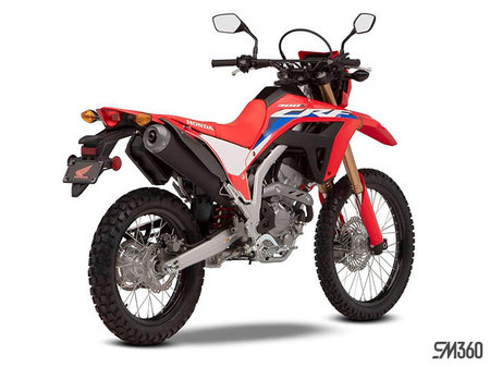 Crf300l abs for hot sale sale