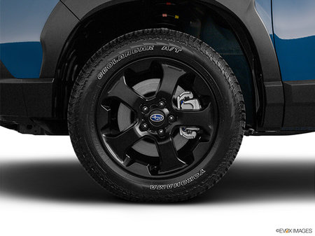 Subaru Forester WILDERNESS 2022 - photo 4