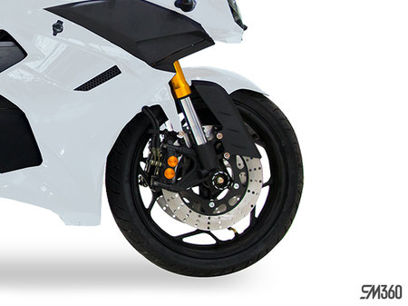 Daymak em2 shop top speed