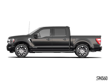 Ford F-150 Hybride LIMITED 2023 - photo 1