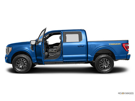Ford F-150 TREMOR 2023 - photo 1
