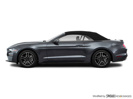 Ford Mustang Convertible EcoBoost Premium 2023 - photo 4
