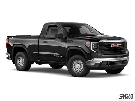 GMC Sierra 1500 Pro 2023 - photo 4