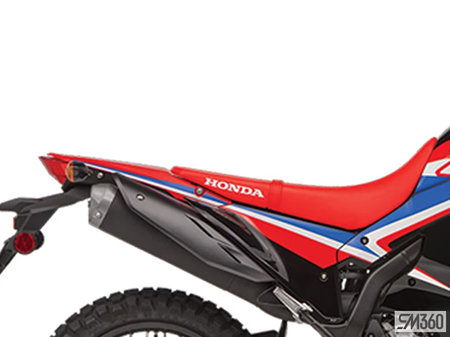 Honda crf300l rally store abs for sale