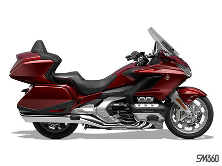 Honda Gold Wing Tour DCT ABS 2023 - photo 10