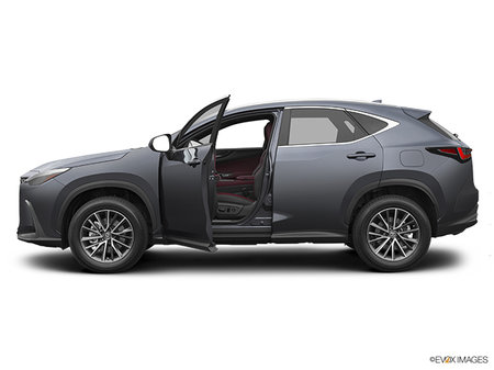 Lexus NX 350h 350H 2023 - photo 1