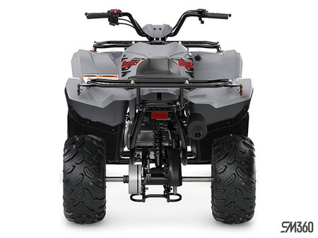 Yamaha GRIZZLY 90 BASE GRIZZLY 90 2023 - photo 4