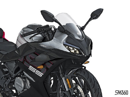 CFMOTO 300SS Base 300SS 2024 - photo 1