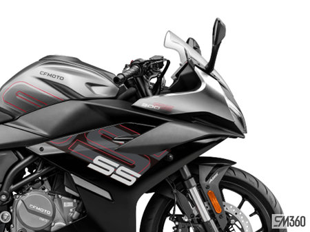 CFMOTO 300SS Base 300SS 2024 - photo 4
