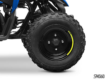 CFMOTO CFORCE 110 CLASSIC Base CFORCE 110 CLASSIC 2024 - photo 2