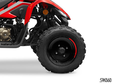 CFMOTO CFORCE 110 Base CFORCE 110 2024 - photo 2