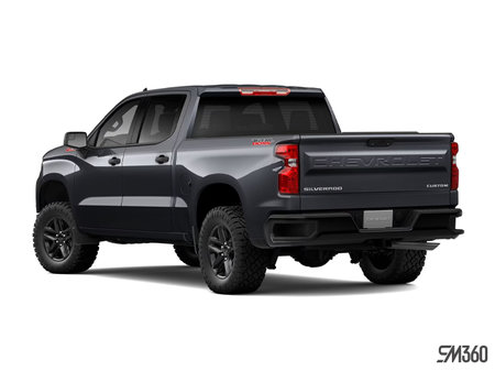 Chevrolet Silverado 1500 Custom Trail Boss 2024 - photo 3