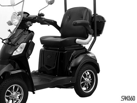 Daymak ROADSTAR 4 WHEEL BASE 2024 - photo 2