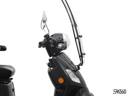 Daymak ROADSTAR 4 WHEEL BASE 2024 - photo 4