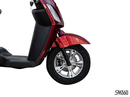 Daymak ROADSTAR DELUXE BASE 2024 - photo 1