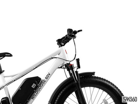Daymak WILD GOOSE 60V BASE WILD GOOSE 60V 2024 - photo 4