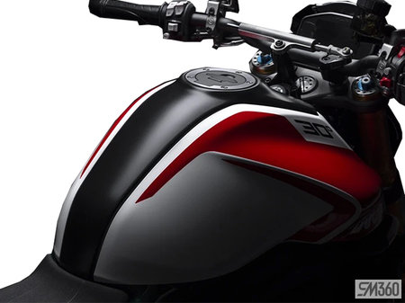 Ducati Monster 30th anniversary edition 2024 - photo 3