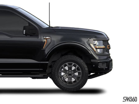 Ford F-150 TREMOR 2024 - photo 4
