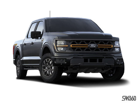 Ford F-150 TREMOR 2024 - photo 3