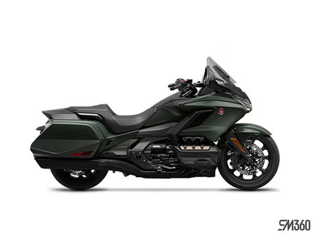 Honda Gold Wing DCT ABS 2024 - photo 10