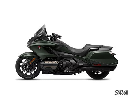 Honda Gold Wing DCT ABS 2024 - photo 7