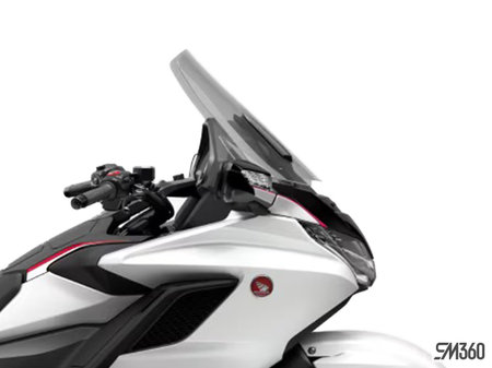 Honda Gold Wing Tour DCT ABS 2024 - photo 3