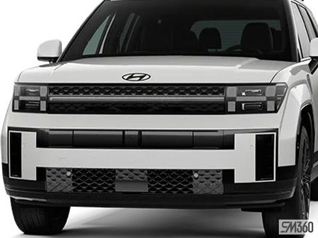 Hyundai Santa Fe Ultimate Calligraphy 2024 - photo 3
