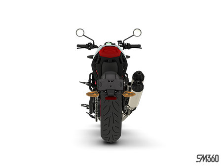 Indian FTR SPORT 2024 - photo 4