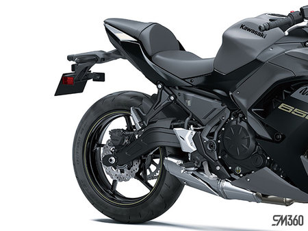 Kawasaki NINJA 650 BASE NINJA 650 2024 - photo 3