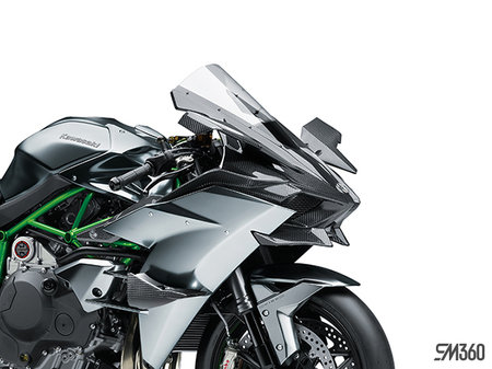 Kawasaki NINJA H2R BASE NINJA H2R 2024 - photo 2