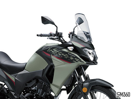 Kawasaki VERSYS-X 300 BASE VERSYS-X 300 2024 - photo 2