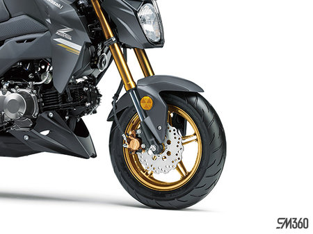 Kawasaki Z125 PRO BASE Z125 PRO 2024 - photo 1