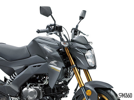 Kawasaki Z125 PRO BASE Z125 PRO 2024 - photo 2