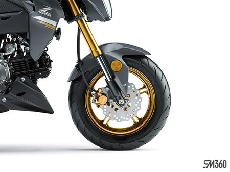 Kawasaki Z125 PRO BASE Z125 PRO 2024 - photo 4