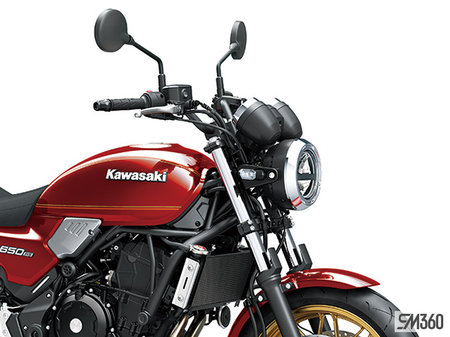 Kawasaki Z650RS BASE Z650RS 2024 - photo 2