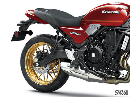 Kawasaki Z650RS BASE Z650RS 2024 - photo 3