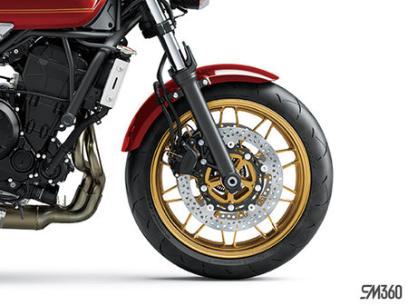 Kawasaki Z650RS BASE Z650RS 2024 - photo 4