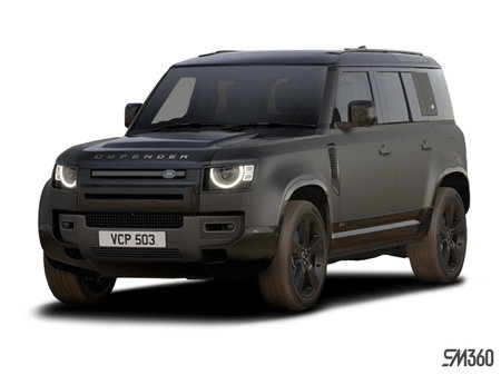 Land Rover Defender 110 Carpathian Edition 2024 - photo 2