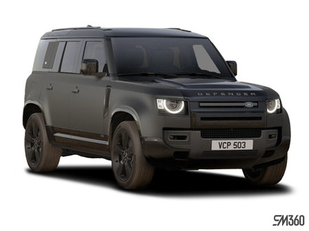 Land Rover Defender 110 Carpathian Edition 2024 - photo 4