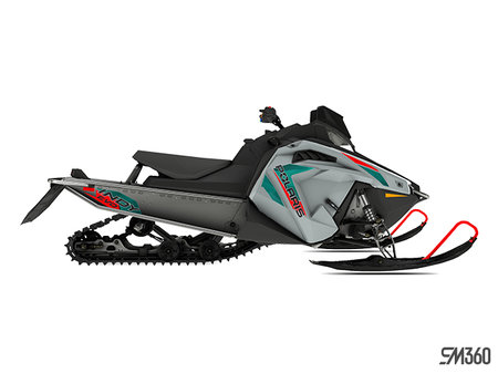 Polaris Indy EVO 550 LIBERTY 121 2024 - photo 2