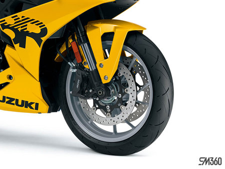 Suzuki GSX-8R BASE GSX-8R 2024 - photo 3