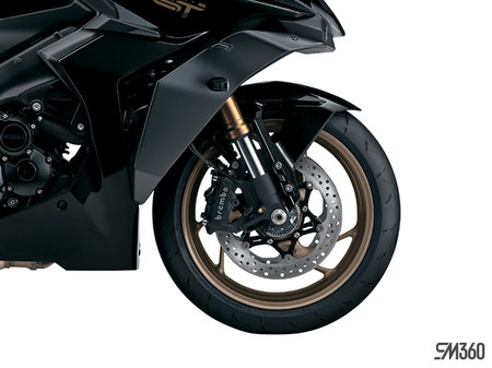 Suzuki GSX-S1000GTA BASE GSX-S1000GTA 2024 - photo 1