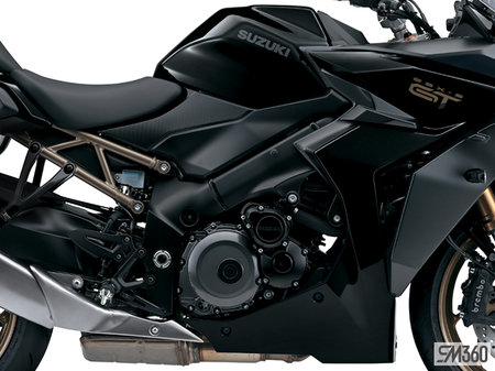 Suzuki GSX-S1000GTA BASE GSX-S1000GTA 2024 - photo 3