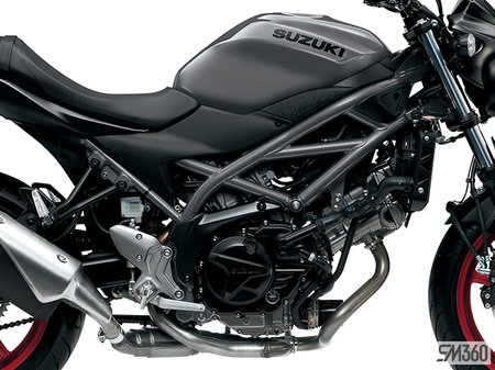Suzuki SV650A BASE SV650A 2024 - photo 3