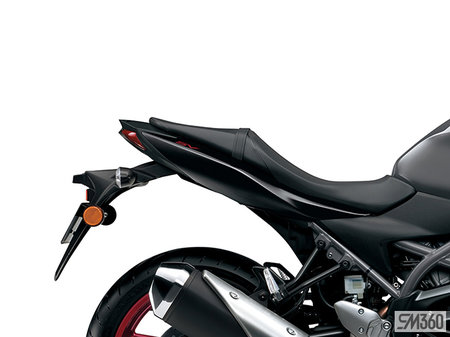 Suzuki SV650A BASE SV650A 2024 - photo 4