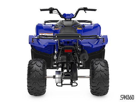 Yamaha GRIZZLY 90 BASE GRIZZLY 90 2024 - photo 3